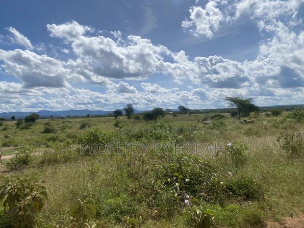 Acres for Sale in Mashuru Kajiado County - thumbnail 5