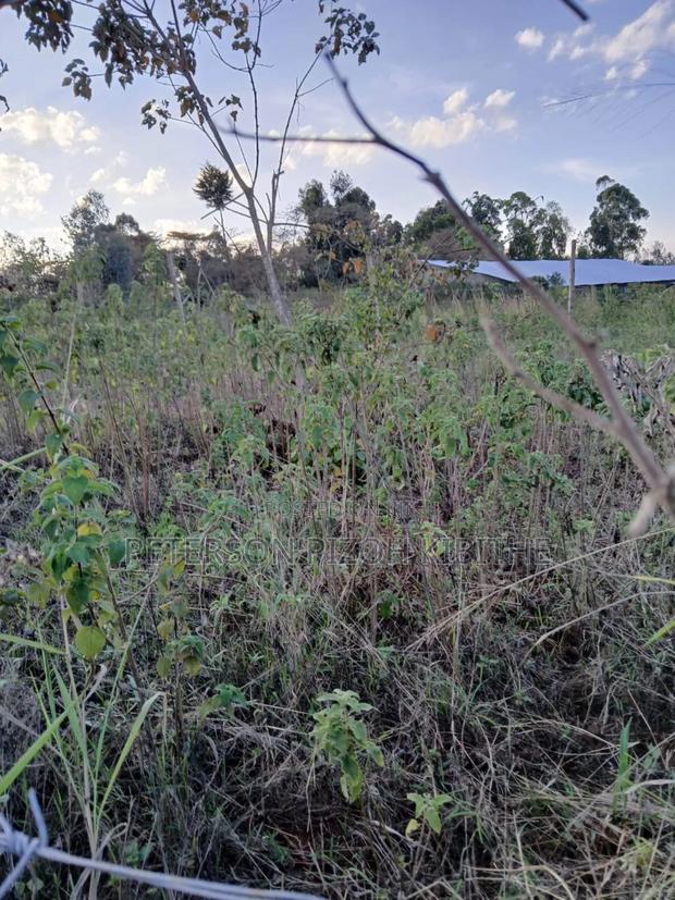 Plot for Sale in Kabati Kenol - thumbnail 3