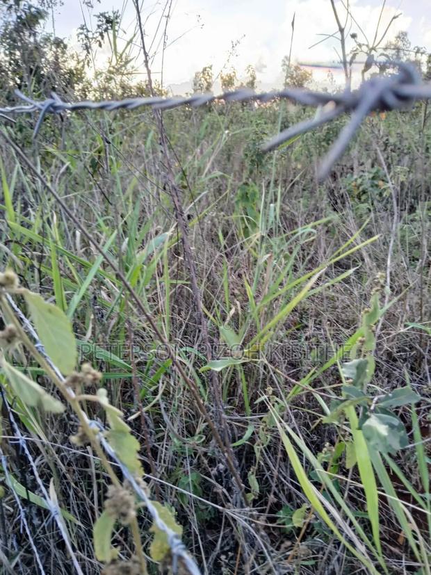 Plot for Sale in Kabati Kenol - thumbnail 4