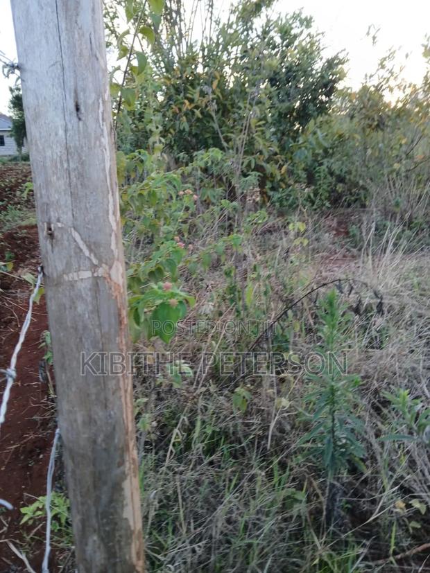 Plot for Sale in Kabati Kenol - thumbnail 3