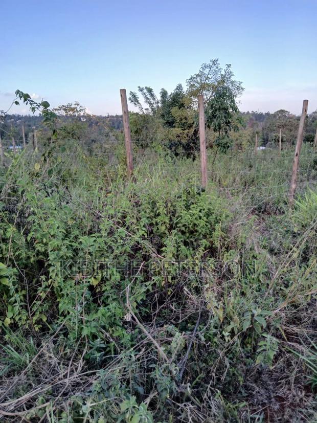 Plot for Sale in Kabati Kenol - thumbnail 4