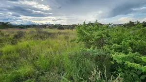 5ac Freehold Land Near Africa Nazarene University Ksh30m