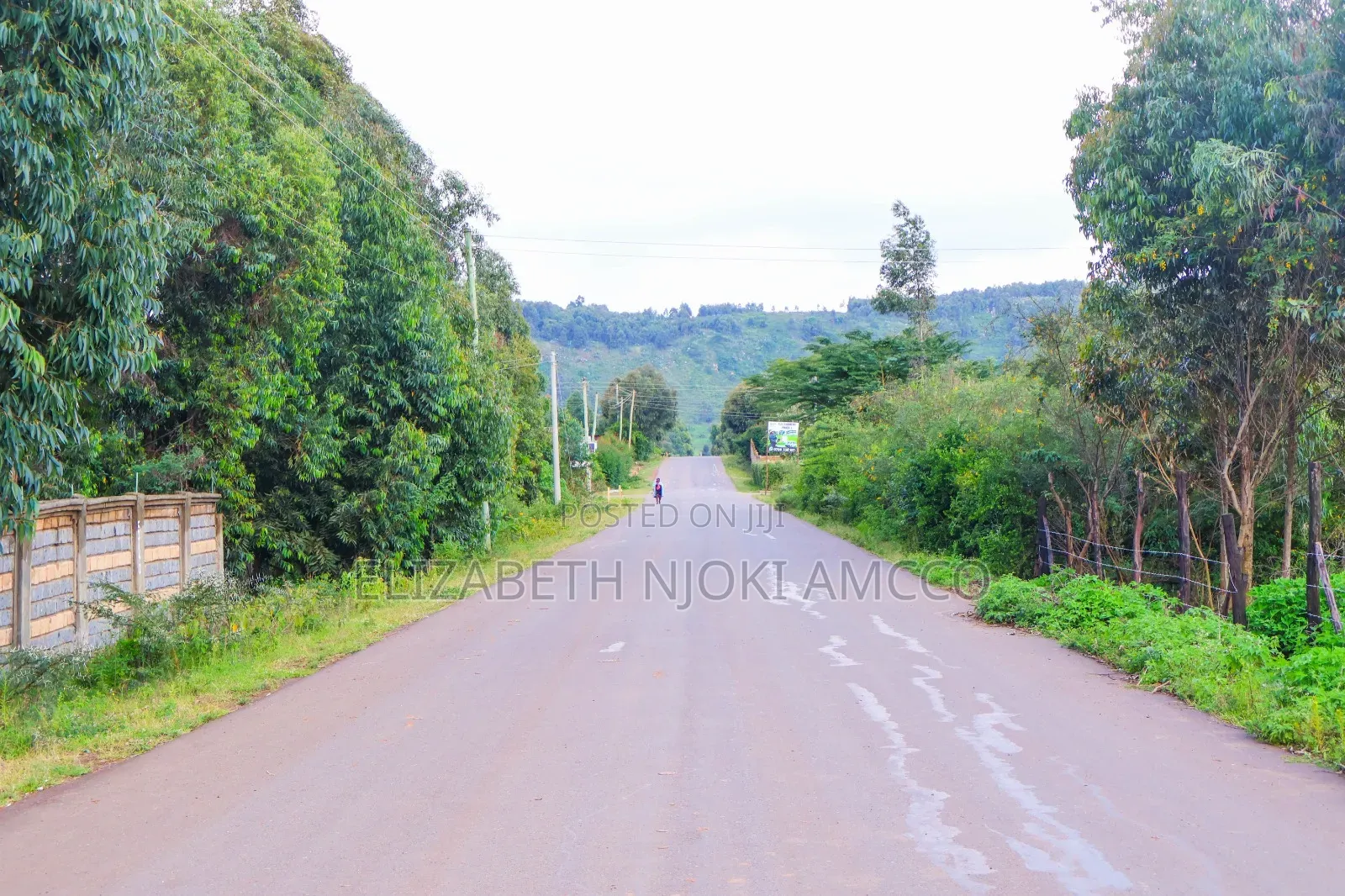 Kikuyu Plots