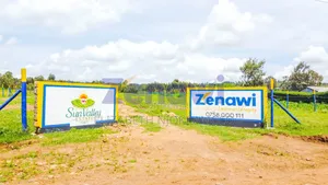 Kikuyu Plots