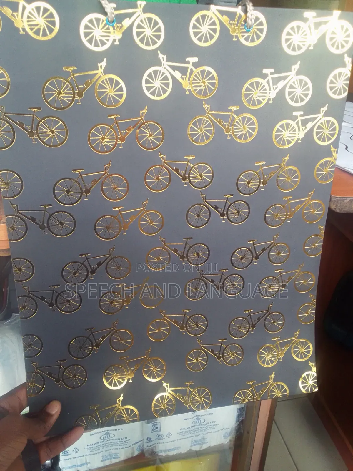 Echo Friendly Gift/Shopping Bag