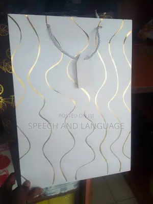 Echo Friendly Gift/Shopping Bag