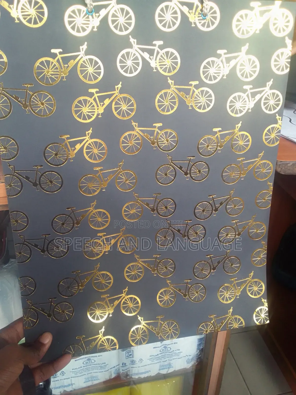 Echo Friendly Gift/Shopping Bag