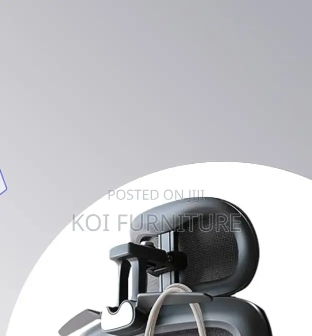 Office Chairs; Aerro Apex Orthopedic Ergonomic Office Chairs