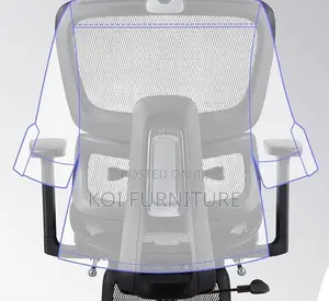 Office Chairs; Aerro Apex Orthopedic Ergonomic Office Chairs