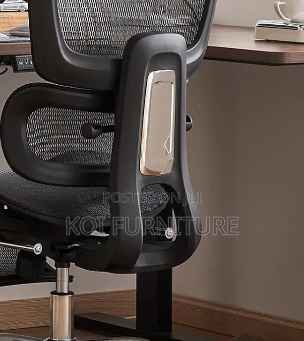Office Chairs; Aerro Apex Orthopedic Ergonomic Office Chairs