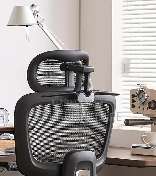 Office Chairs; Aerro Apex Orthopedic Ergonomic Office Chairs