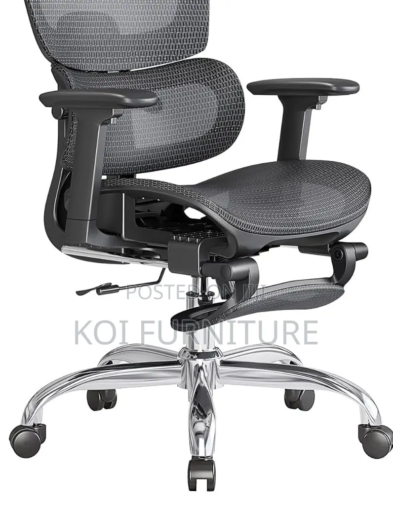 Office Chairs; Aerro Apex Orthopedic Ergonomic Office Chairs
