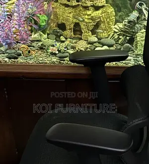 Office Chairs; Apex Orthopedic Office Seat With Footrest