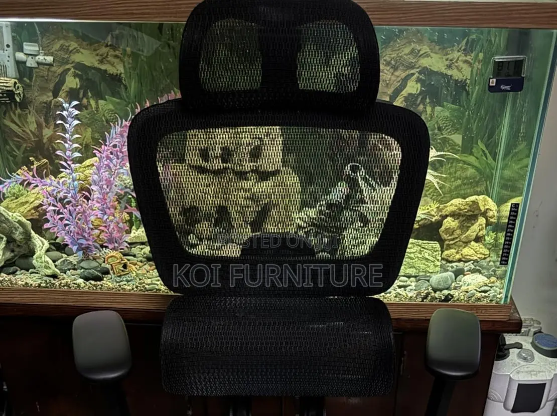 Office Chairs; Apex Orthopedic Office Seat With Footrest