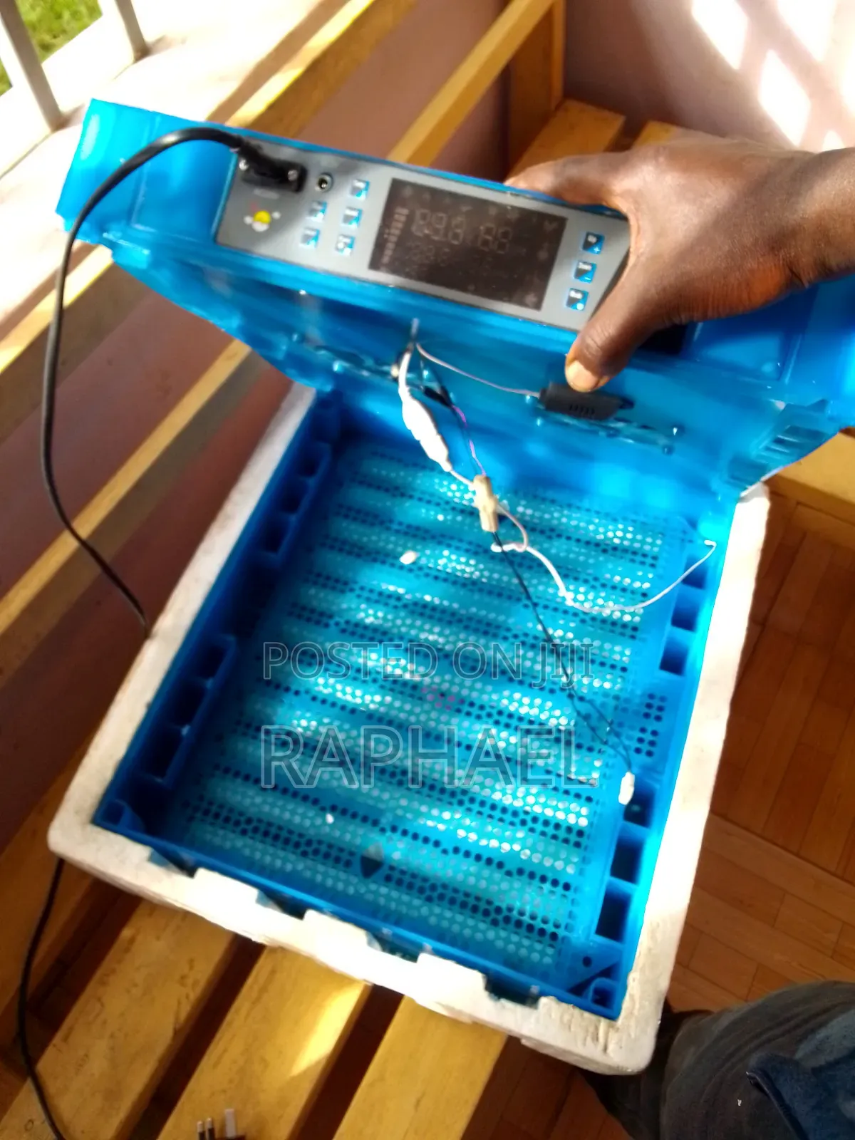 Egg Incubator