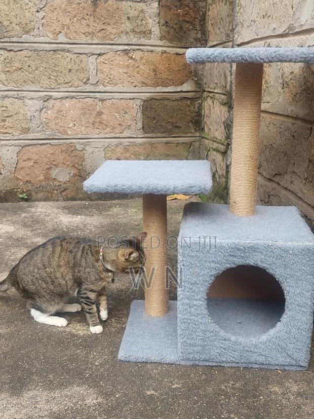 Cat Tree House With Scratching Post and Lounge - thumbnail 3
