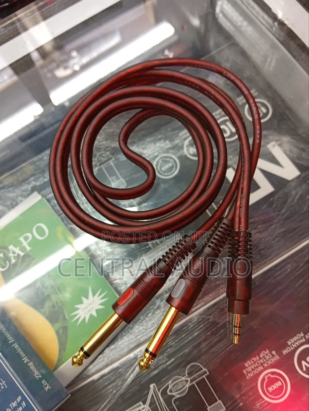 Dual Music Cable
