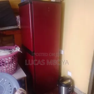 Fridge Double Door