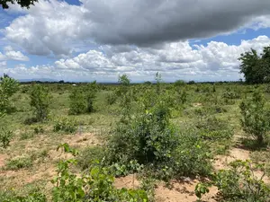 Kithimani Agribusiness Parcels for Sale