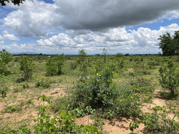 Kithimani Agribusiness Parcels for Sale