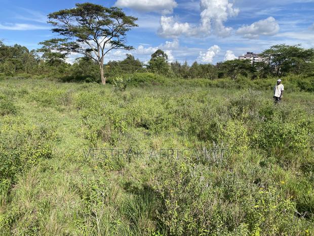 Kithimani Agribusiness Parcels for Sale - thumbnail 4