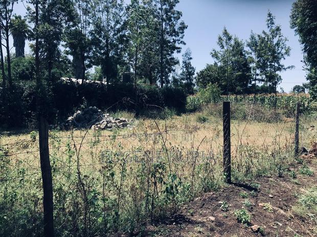 1/8 Acre Plot - thumbnail 2