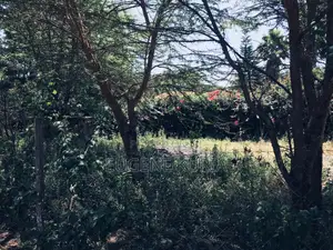 1/8 Acre Plot