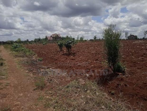 Kangema LTD Prime Plots - thumbnail 2