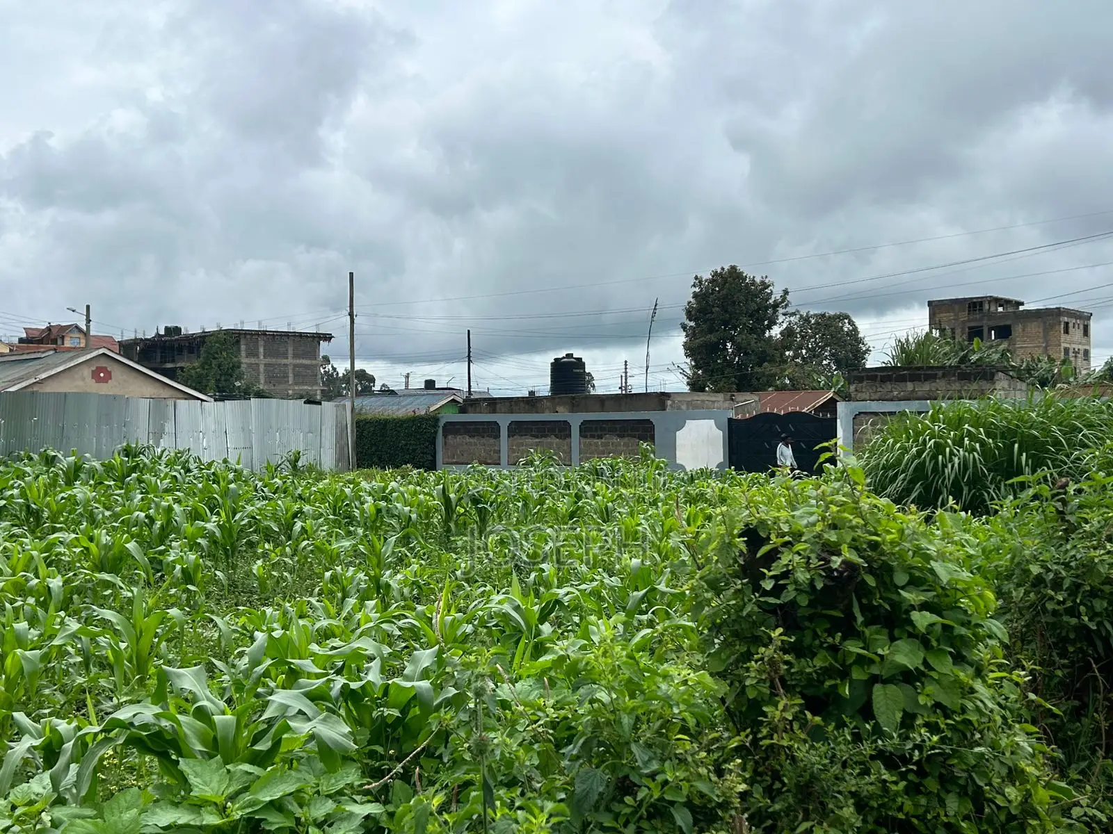 Gikambura Thogoto 1/4acre for Redevelopment