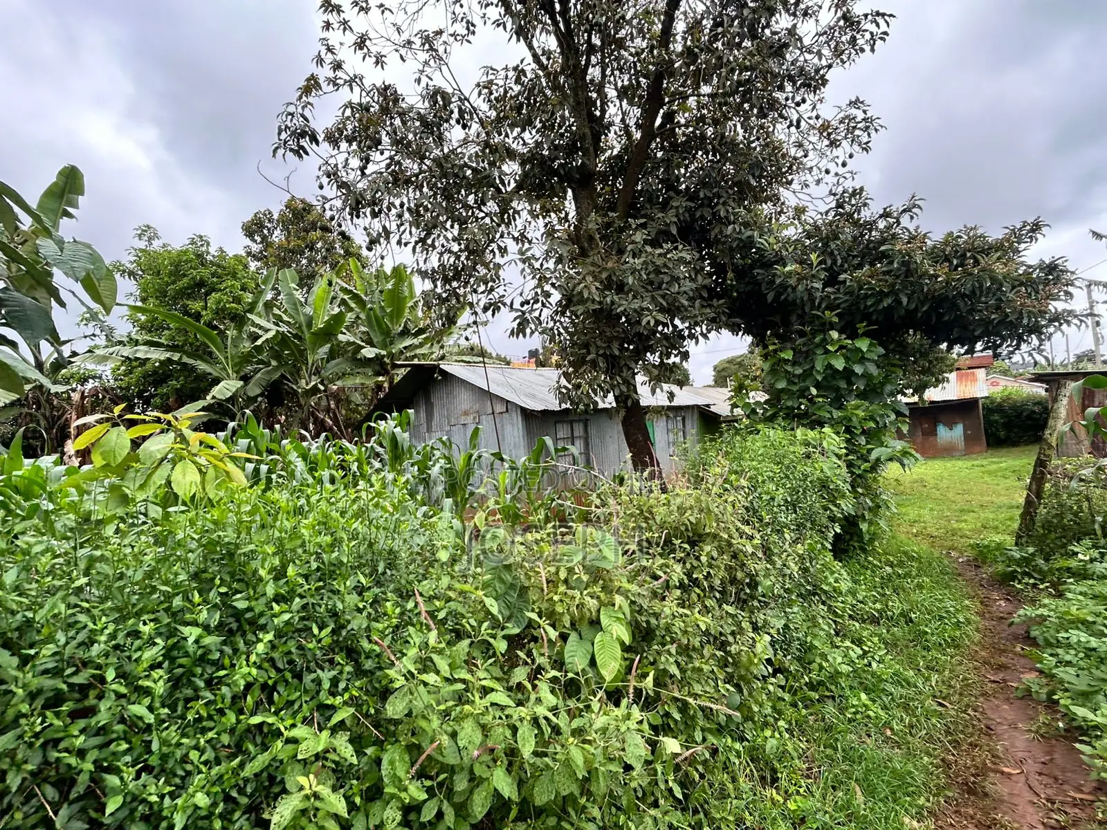 Gikambura Thogoto 1/4acre for Redevelopment