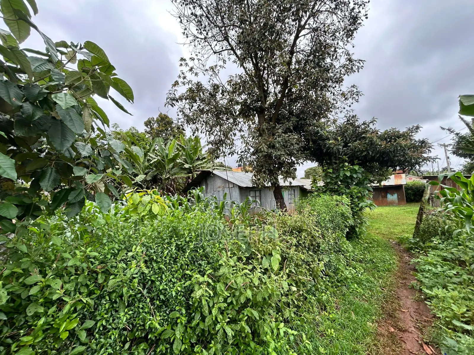 Gikambura Thogoto 1/4acre for Redevelopment