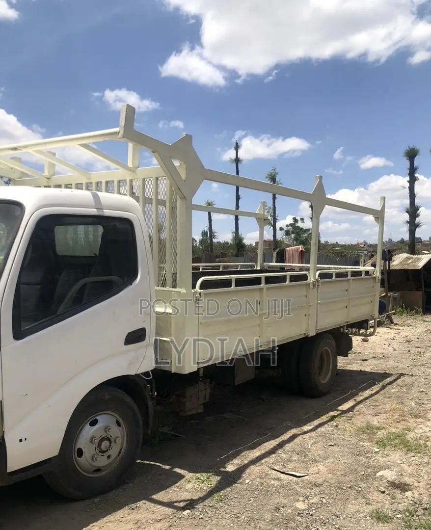 Toyota Toyoace Longchase
