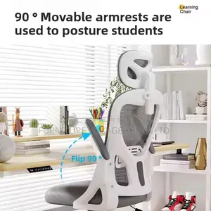 Imported Ergonomic Adjustable Home Desk Chair