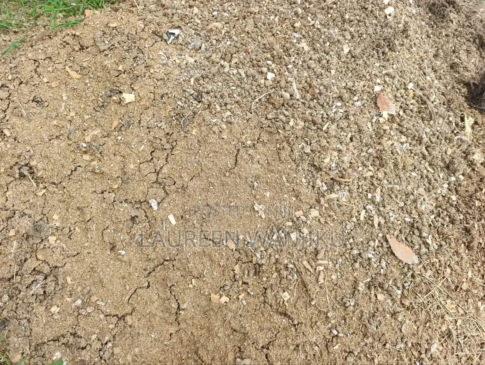 Manure for Sale