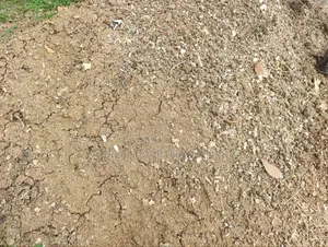Manure for Sale