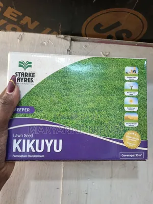 Kikuyu Grass Lawn Seeds 500g