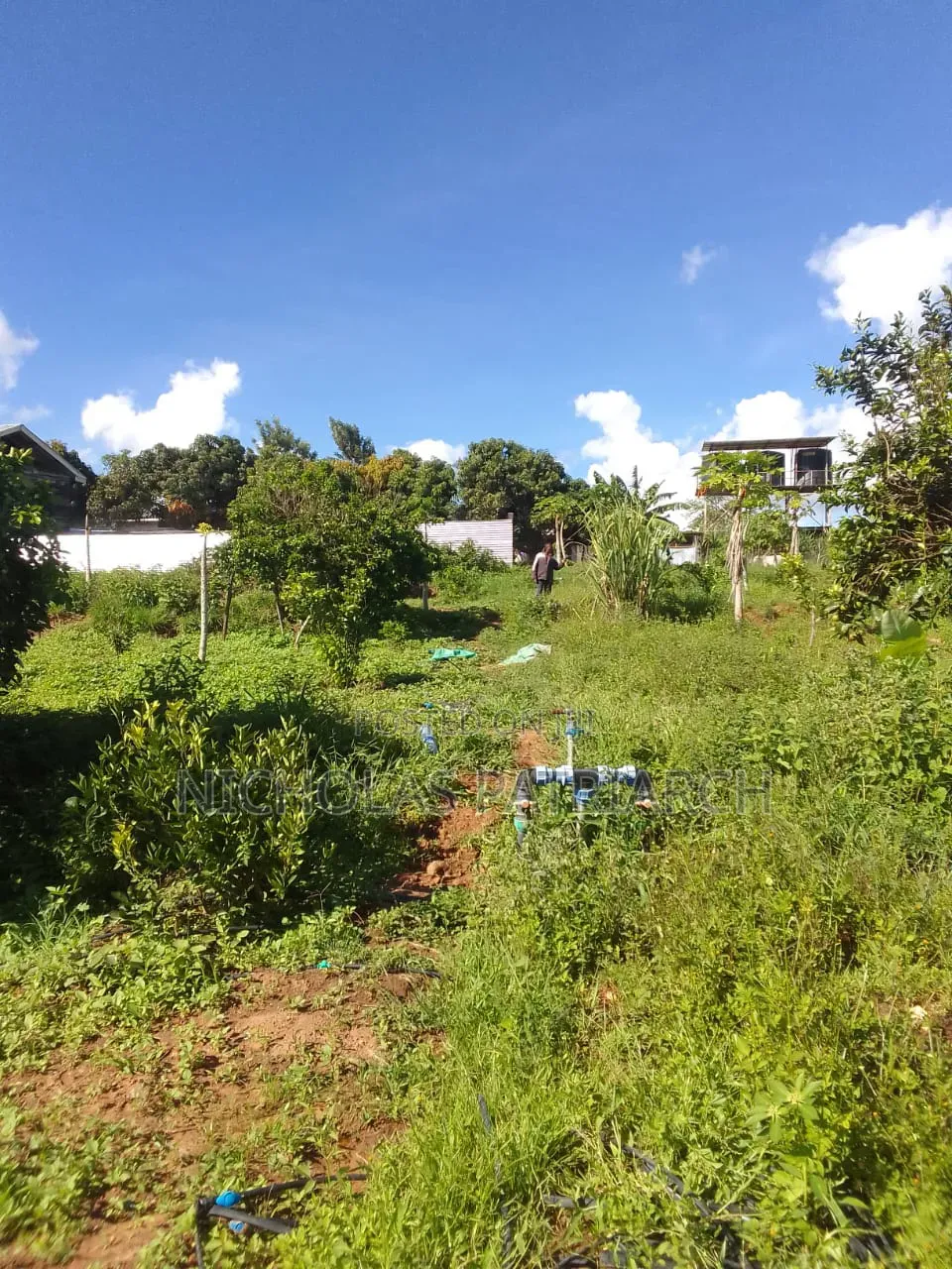 5 Acres Farm Machakos -Wamunyu Selling at 16m