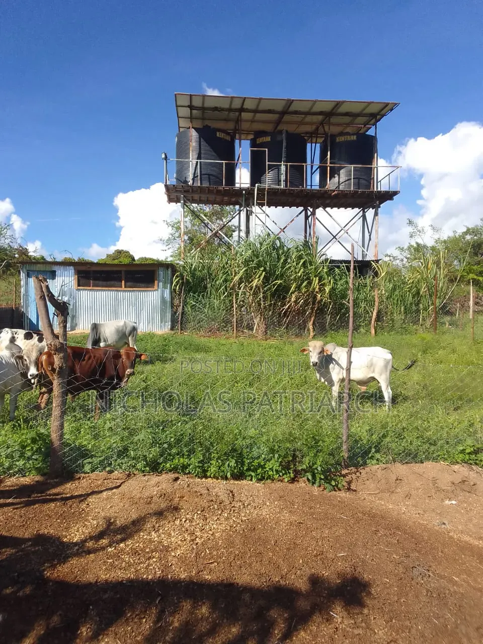 5 Acres Farm Machakos -Wamunyu Selling at 16m