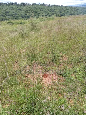 1 Acre Kimutwa Selling at 1.5m
