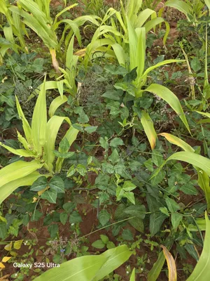 16 Acres at Mua Kaseve Kitengela Aerial View