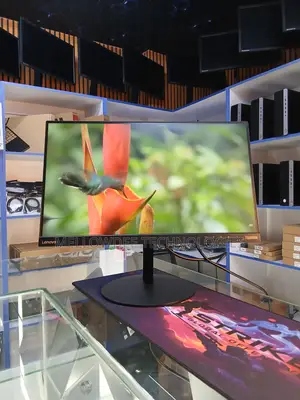 Lenovo Thinkvision T2364pa Monitor