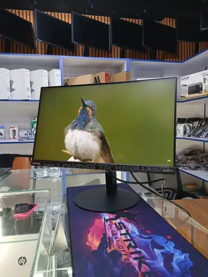 Lenovo Thinkvision T2364pa Monitor