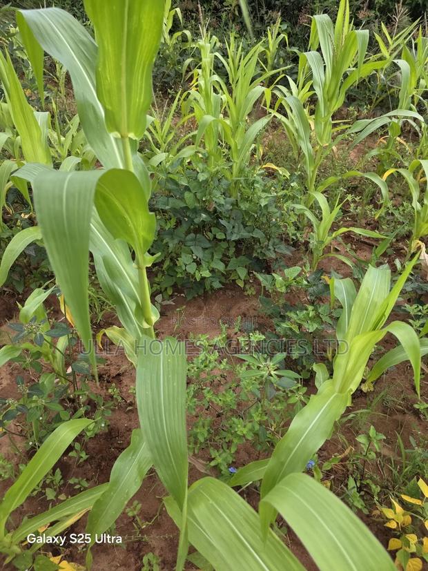 1 Acre Touching Mombasa Road at Machakos Junction,Kyumbi
