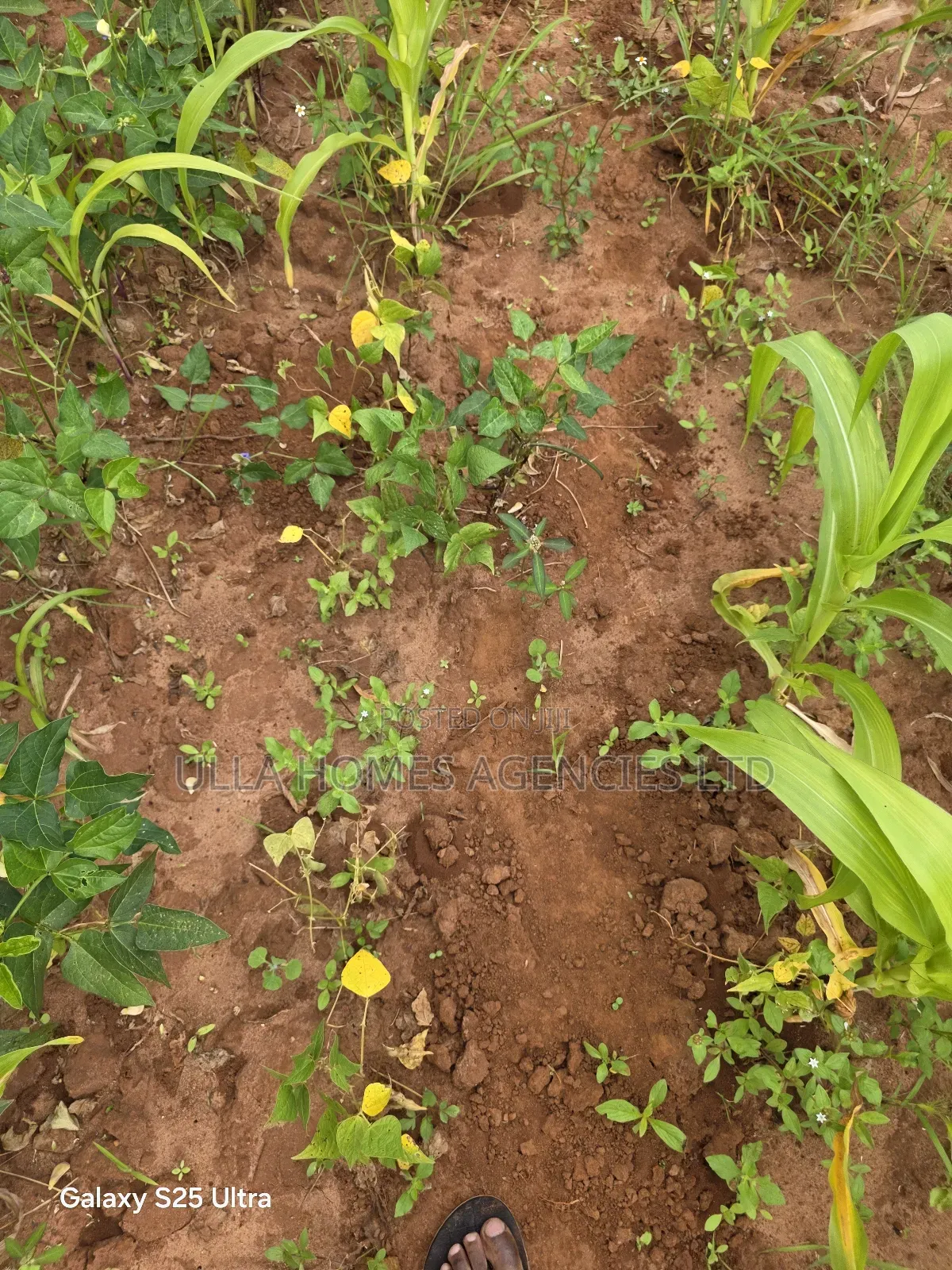 1 Acre Touching Mombasa Road at Machakos Junction,Kyumbi