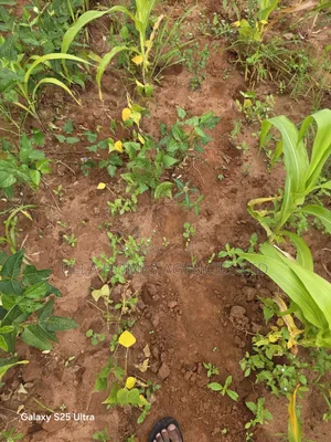 1 Acre Touching Mombasa Road at Machakos Junction,Kyumbi