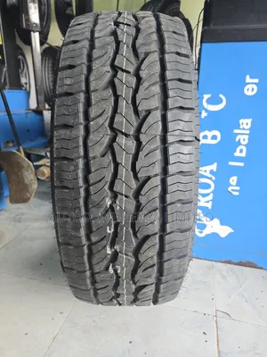 265/60r18 Dunlop Grandtrek All Terrain Tire