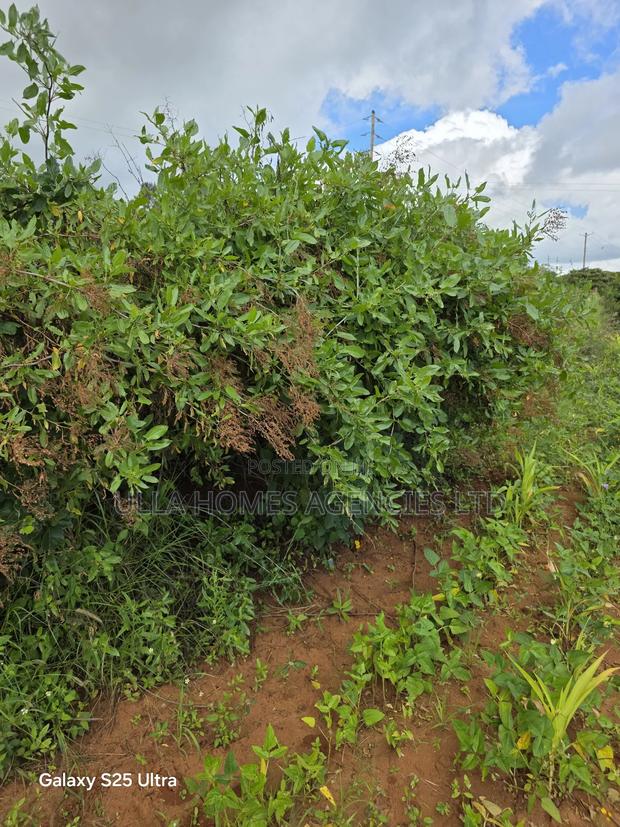 40 Acres at Lukenya Opposite Simba Cement,1km From Msa Road