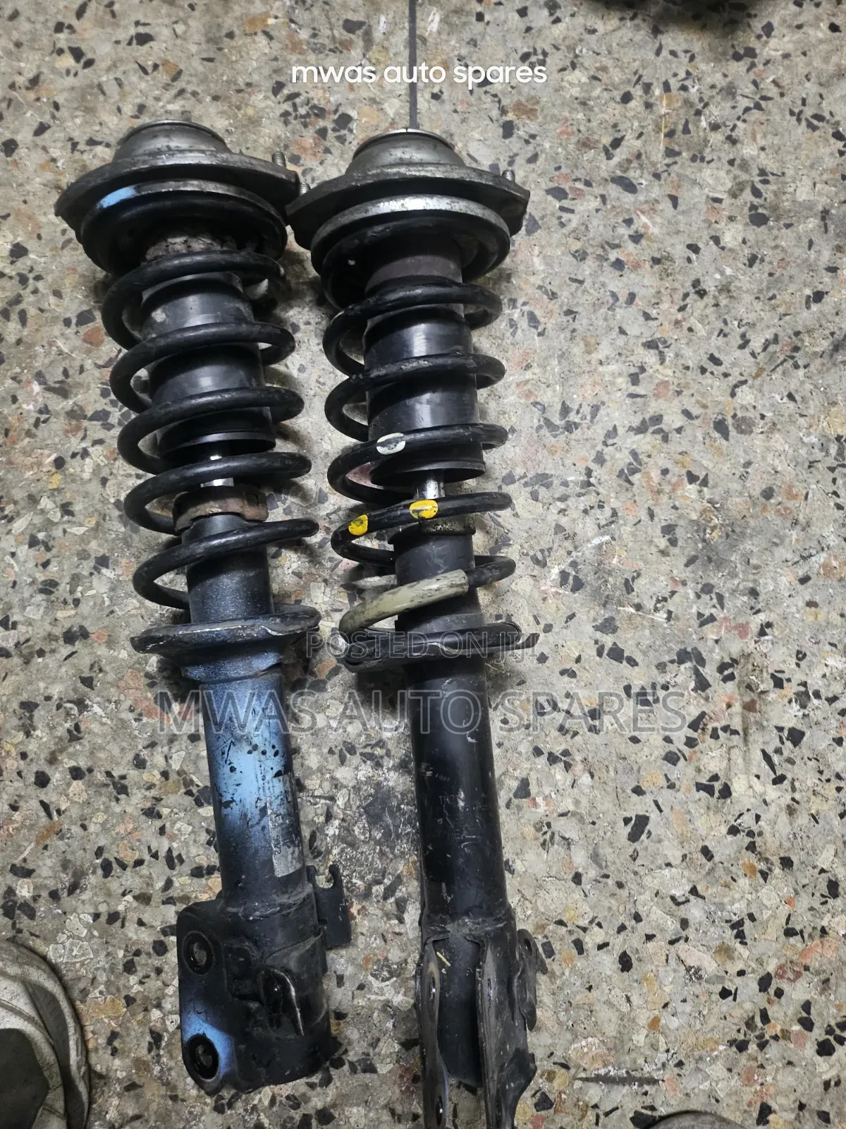 Suzuki Alto Shocks