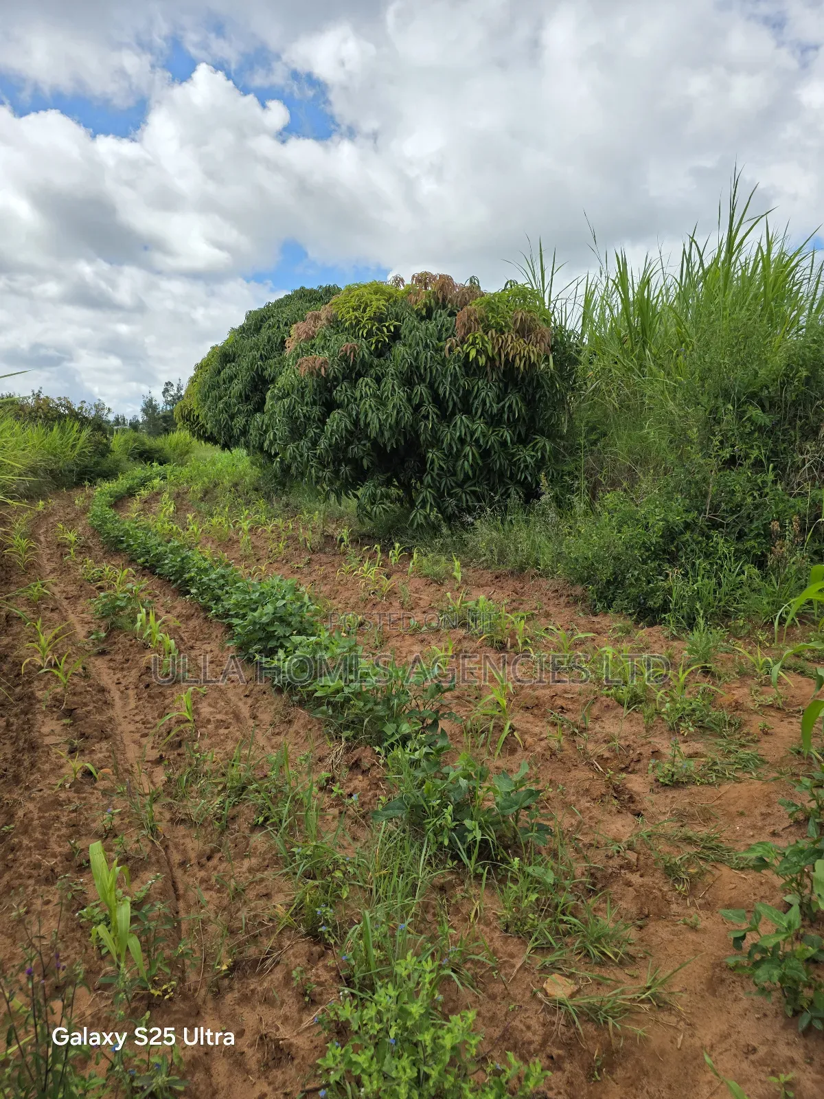 10 Acres at Konza,Aimi Ma Kilungu,Touching Mombasa Road