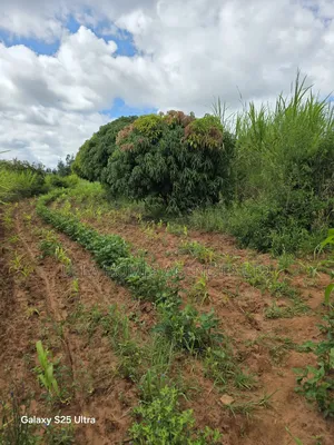10 Acres at Konza,Aimi Ma Kilungu,Touching Mombasa Road